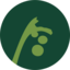 Vine Community Church