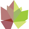 Vinehealth Australia