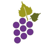Vinícola de Arganda