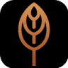 Centro de Treinamento Barista VINNI Coffee