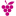 VINOBILE
