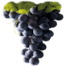 VINO VIÑA DE LOS CAMPOS