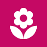Flower bouquet delivery service online