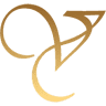 Virtuossi Design