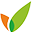 Visakha Pharmacity Limited