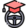 Vision Driving Lesson