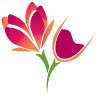 Namaqua West Coast Tourism