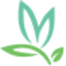Vitalia Medical Spa