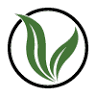 Vitality CBD, Inc.
