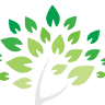 Vital Wellness Center