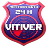 VITIVER SEGURANÇA ELETRÔNICA