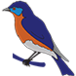 Les Vivaces du Merle Bleu