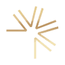 Vive Aesthetics and Wellness