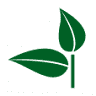 Los Arrayanes. Vivero, Plantas y Servicios