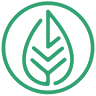 VivoVerde