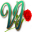 VJ petals - Bouquet delivery in Hyderabad