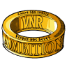 VNR AMBITION