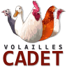 SARL CADET
