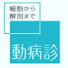 Veterinary Pathology Diagnostic Center 動物病理診断センター