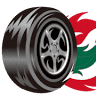 Vulcanizadora Cefes