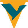 Vvyasa School