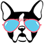 Wag Nation
