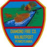 Diamond Fire Co