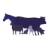 Walwa Veterinary Practice
