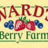 Wards Berry Farm