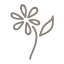Warmdal Blomster