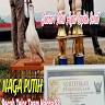 WARTA BUMI PANTURA