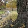Bassett Park