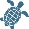Turtle Ambiente