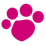 Wayside Waifs