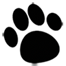Washington Boulevard Animal Hospital