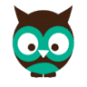 The Wee Crafty Owl