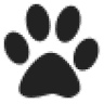 Weirton Pet Spa