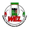 Wel Equipos y Servicios para Gasolinera S.A. de C.V.