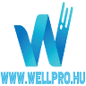 WELLPRO Bemutatóterem