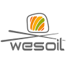 Wesoil Karol Wesołowski