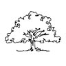 Wester Dental Care, P.C.