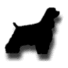 Western Veterinary Service