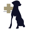 Westford Veterinary Emergency and Referral Center