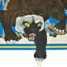 Westisle Composite High School