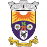 Mary Gallery - City Councillor (District 6 - 2nd Term)