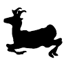 Wyoming Game Warden