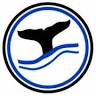 Whale Watching Sri Lanka