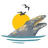 Whale Bites Cafe