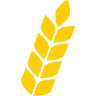 Wheat City Tax Service