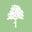 White Elm Garden Centre & Tearoom